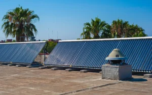 Solar thermal collectors installed on a flat rooftop with palm trees in the background