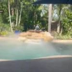 Irrigation mist watering plants in a landscaped garden